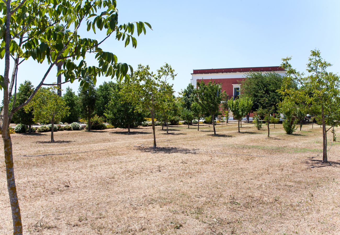 Villa in Galatina - Villa aus dem 19. Jahrhundert mit Pool und Garten v800