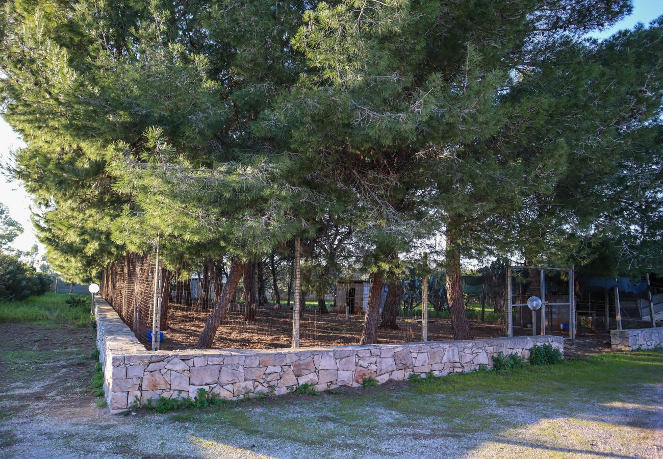 Villa in Sogliano Cavour - Villa zu verkaufen mit Schwimmbad und großem Garten und Photovoltaikanlage v799