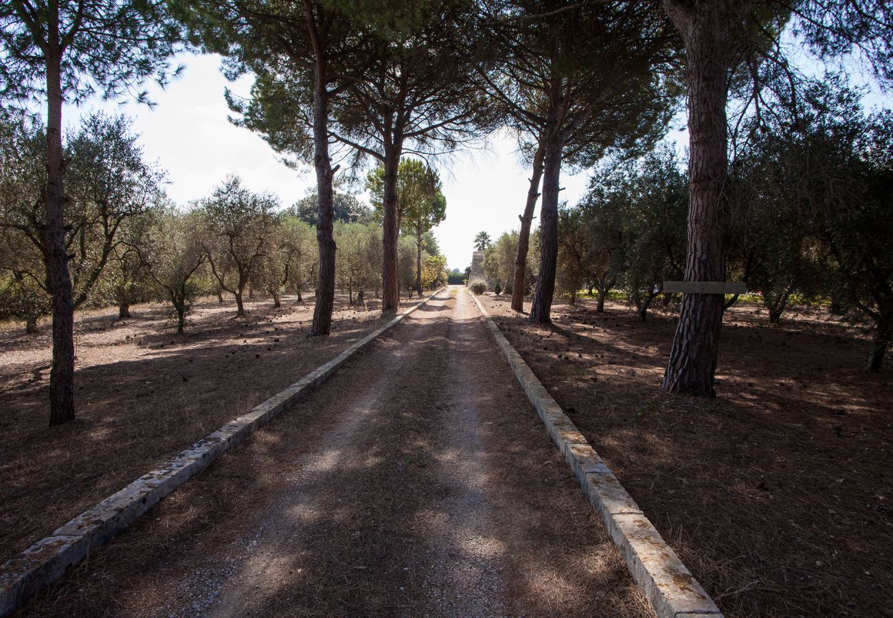 Villa in Corigliano d´Otranto - Historisches Anwesen mit Villa und Nebengebäude, Schwimmbad und Fresken v340