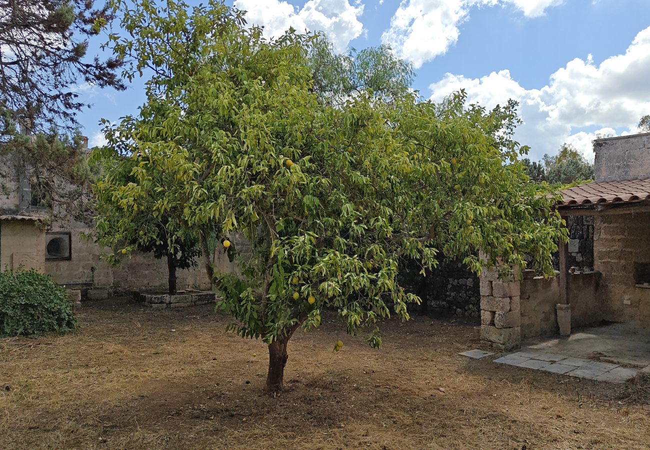 Agrotourismus in Alessano - Bauernhaus zum Renovieren in Meeresnähe - v790 Macurano