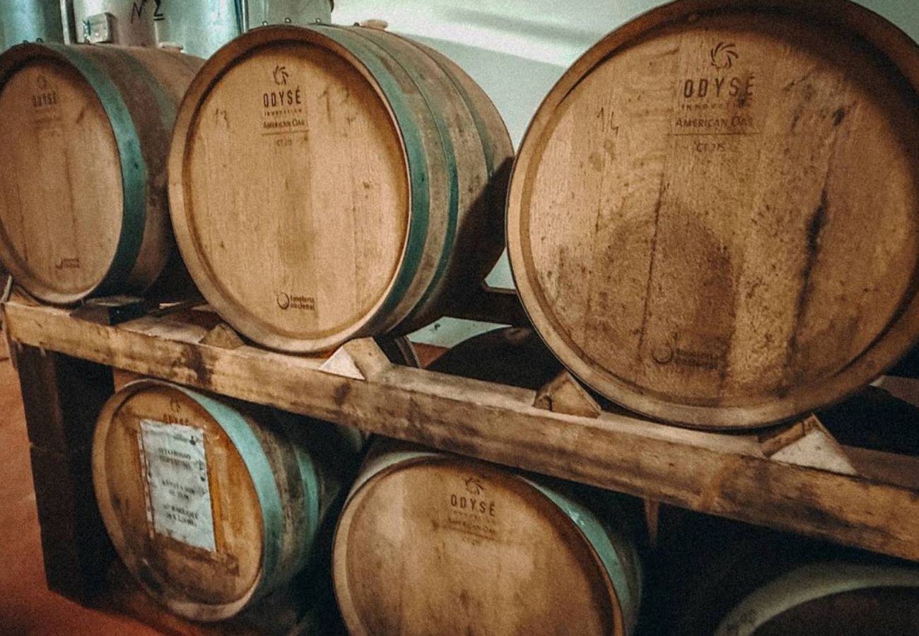 Agrotourismus in Copertino - Tenuta Annibale – Weingut Salento. v810