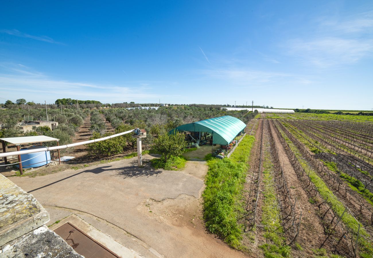 Agrotourismus in Copertino - Tenuta Annibale – Weingut Salento. v810