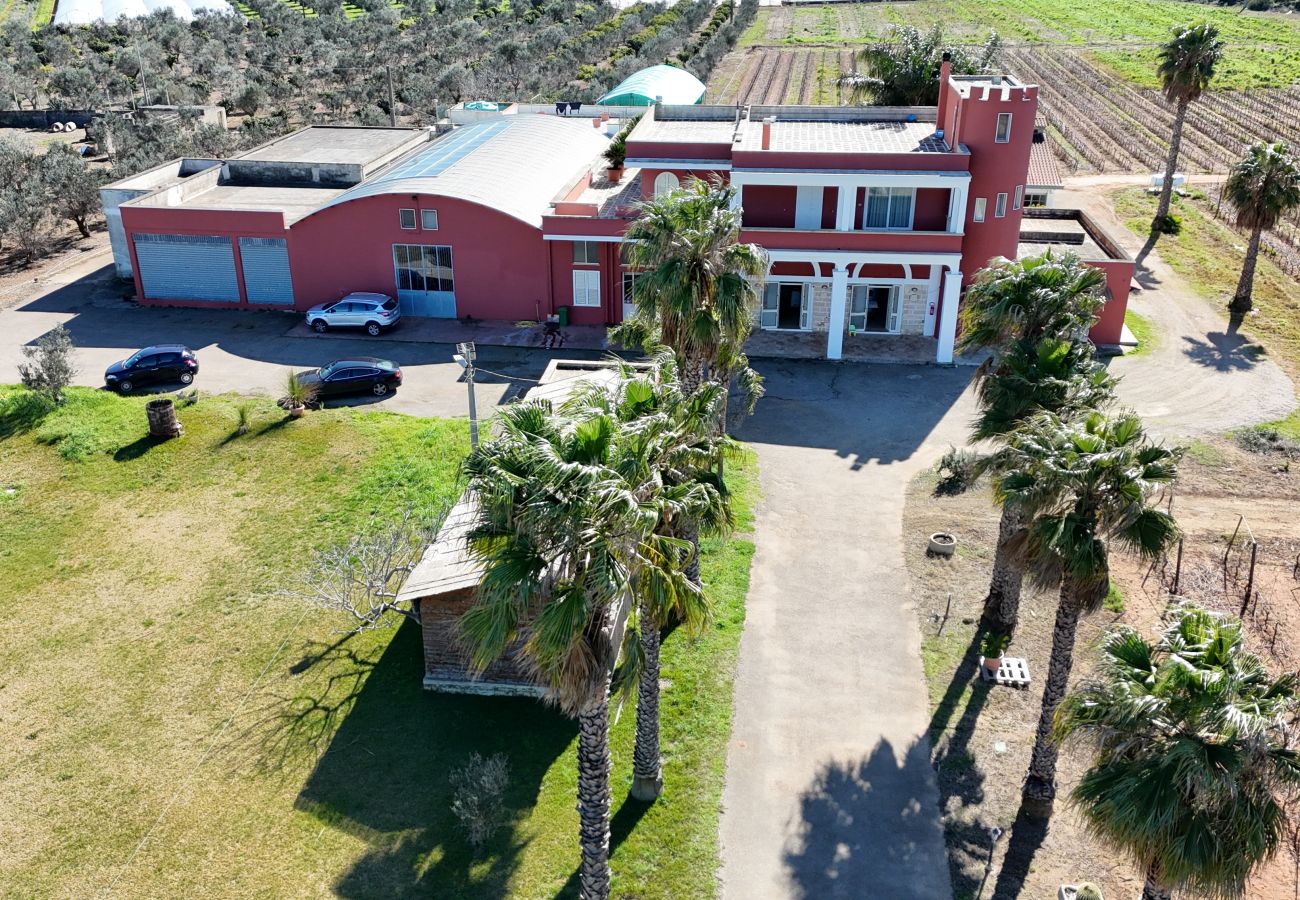 Agrotourismus in Copertino - Tenuta Annibale – Weingut Salento. v810