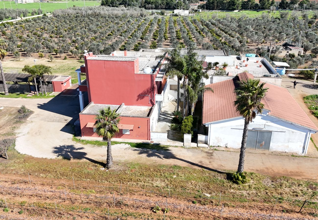 Agrotourismus in Copertino - Tenuta Annibale – Weingut Salento. v810