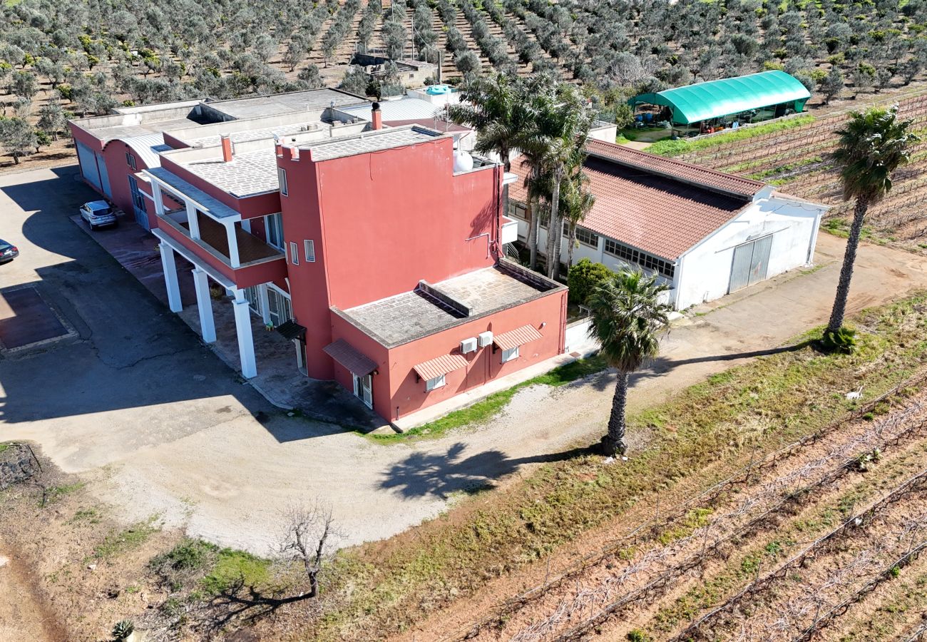 Agrotourismus in Copertino - Tenuta Annibale – Weingut Salento. v810