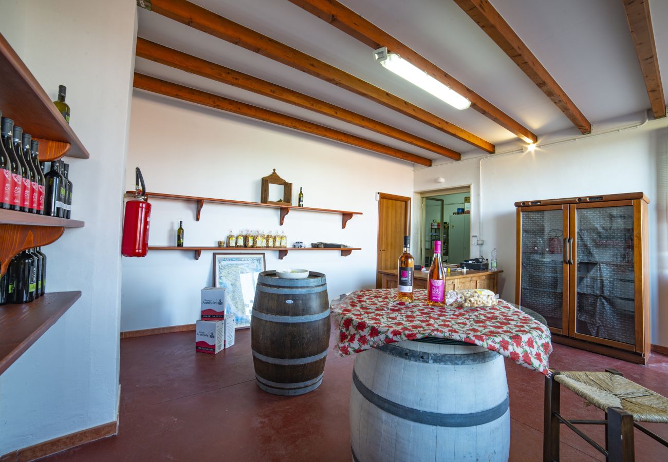 Agrotourismus in Copertino - Tenuta Annibale – Weingut Salento. v810
