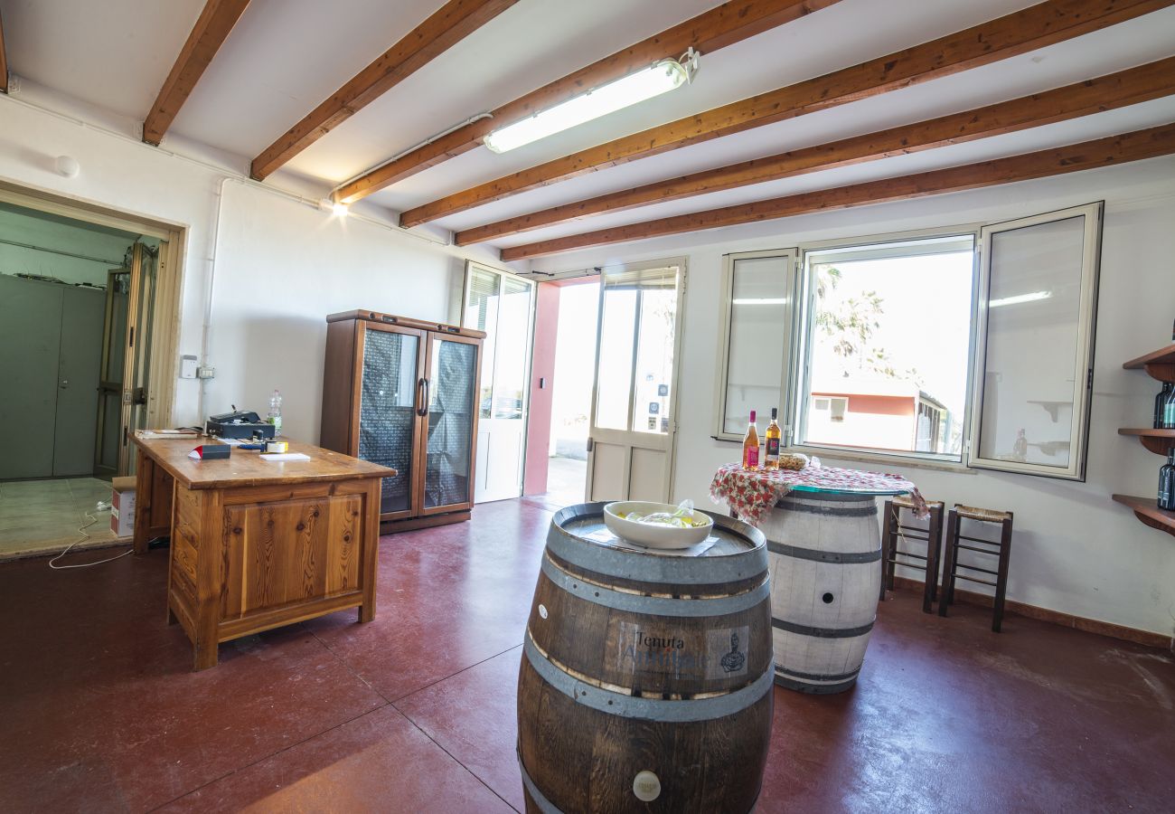 Agrotourismus in Copertino - Tenuta Annibale – Weingut Salento. v810