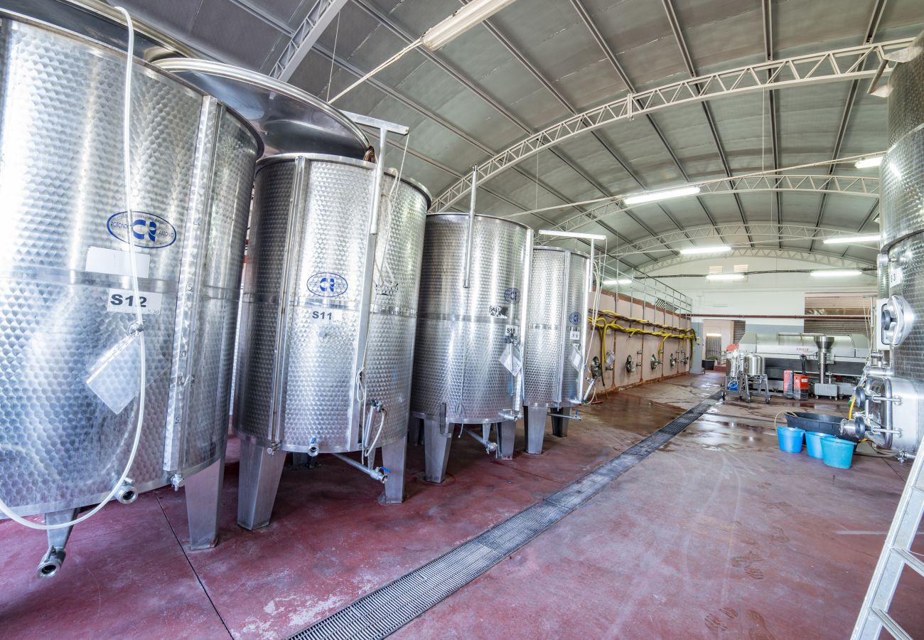 Agrotourismus in Copertino - Tenuta Annibale – Weingut Salento. v810