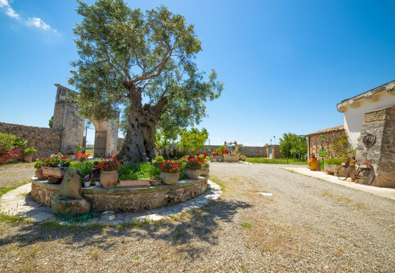 Agrotourismus in Surbo - Masseria mit Schwimmbad in der Nähe von Lecce.V830