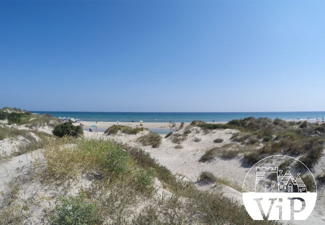 Ferienhaus in Spiaggiabella - Ferienhaus am Strand, Meerblick, 3 Schlafzimmer 2 Bäder m711