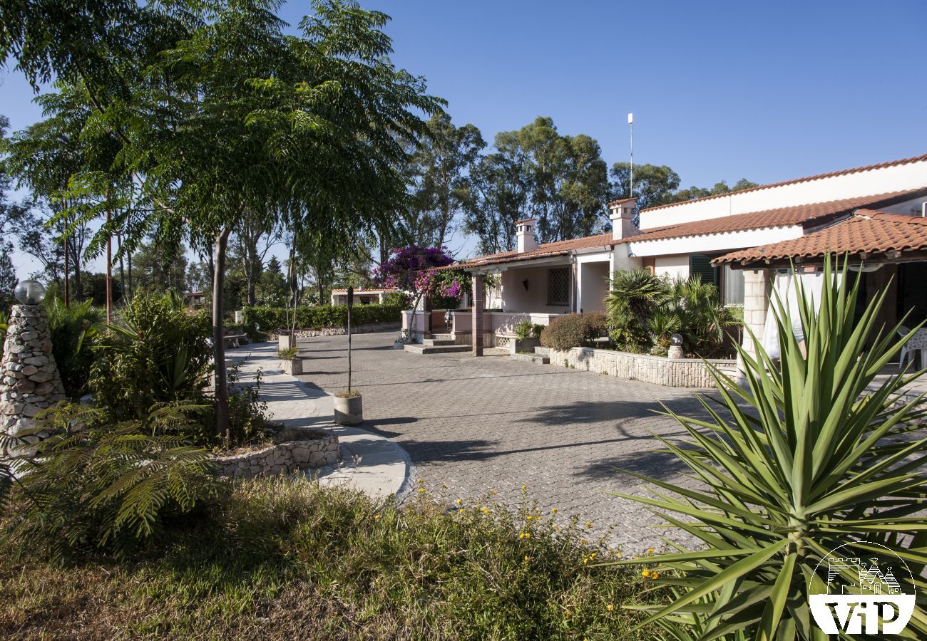 Villa in Specchia - Villa mit großem Pool und Jacuzzi für große Gruppen m350