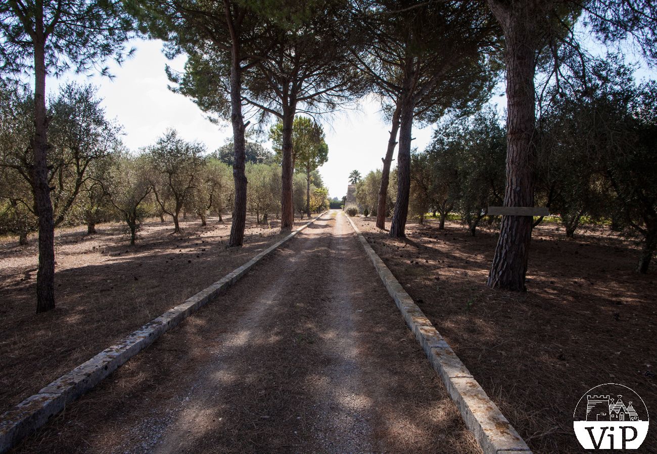 Villa in Corigliano d´Otranto - Landgut mit privatem Pool für große Gruppen m340