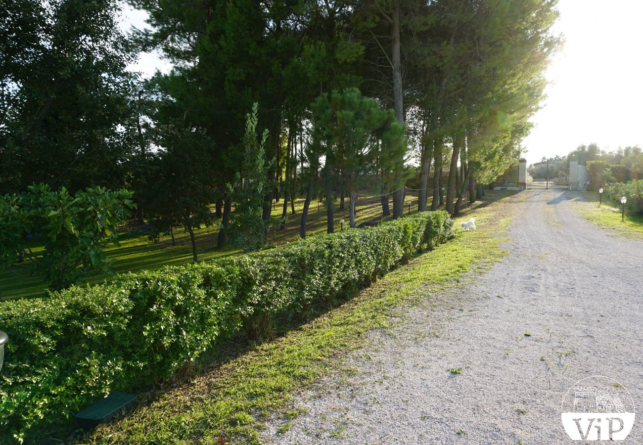 Ferienwohnung in Muro Leccese - Fewo mit Schwimmbadnutzung und Volleyball m663