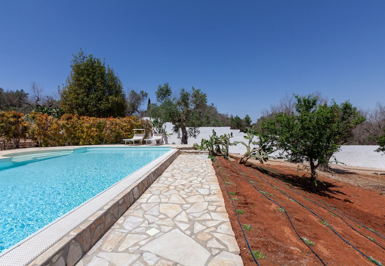 Villa à Collemeto - Villa avec piscine pour 12 personnes, 5 chambres, 4 salles de bains, barbecue, lave-linge, connexion WiFi, climatisation m565