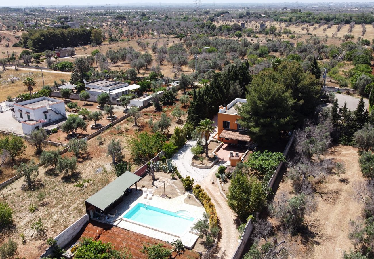 Villa à Collemeto - Villa avec piscine pour 12 personnes, 5 chambres, 4 salles de bains, barbecue, lave-linge, connexion WiFi, climatisation m565