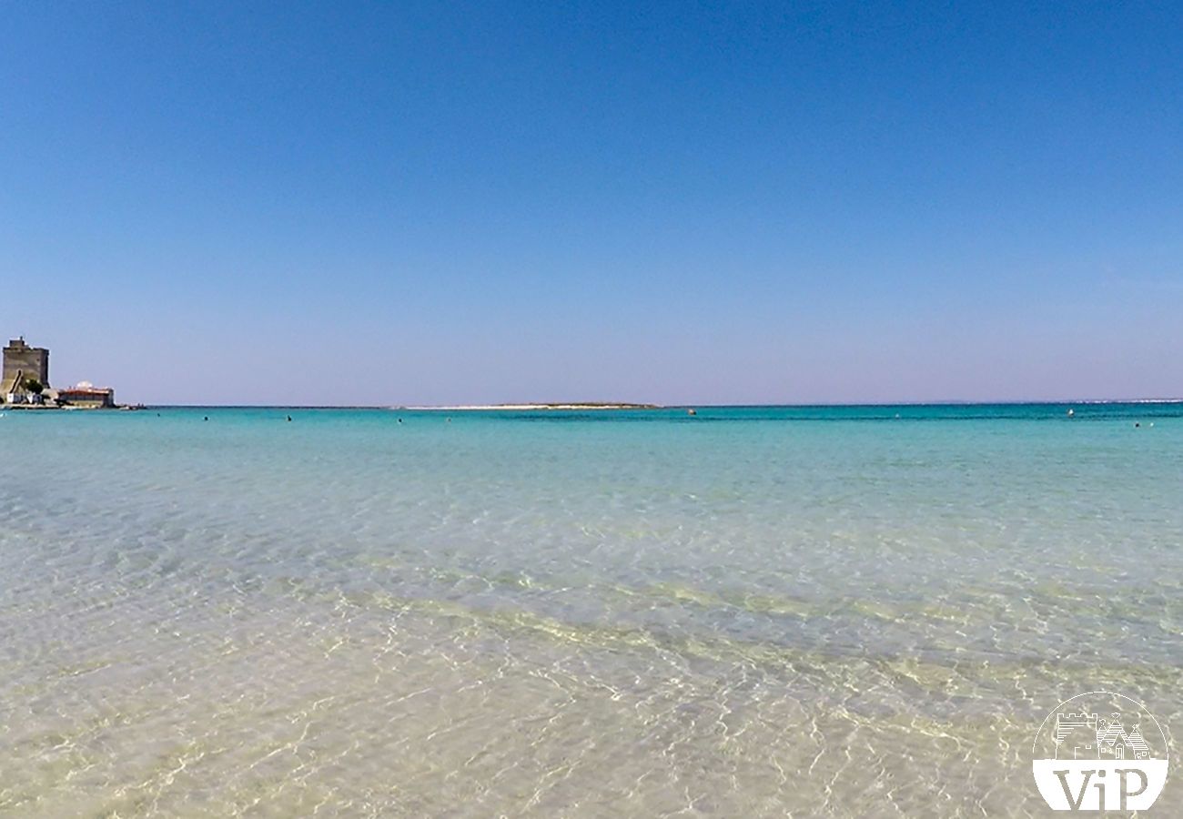 Maison à Sant'Isidoro - Villa de vacances avec vue sur la mer, à 50 m de la  plage de Sant'Isidoro m524