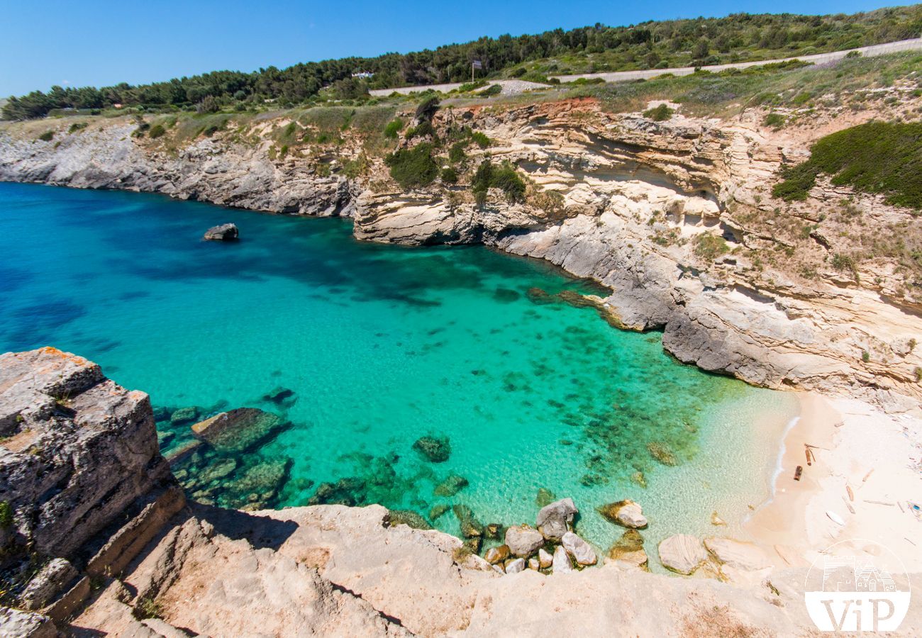 Villa à Vitigliano - Villa typique du Salento proche plages et côtes rocheuses, avec piscine privée m250