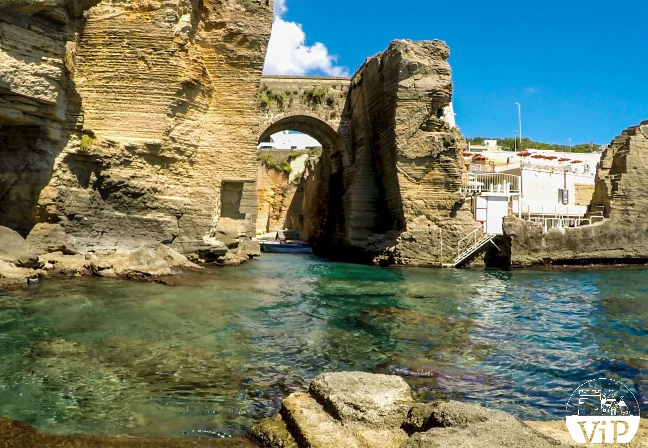 Villa à Vitigliano - Villa typique du Salento proche plages et côtes rocheuses, avec piscine privée m250