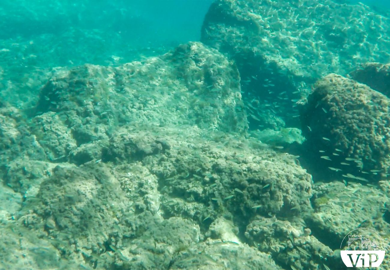 Villa à Vitigliano - Villa typique du Salento proche plages et côtes rocheuses, avec piscine privée m250