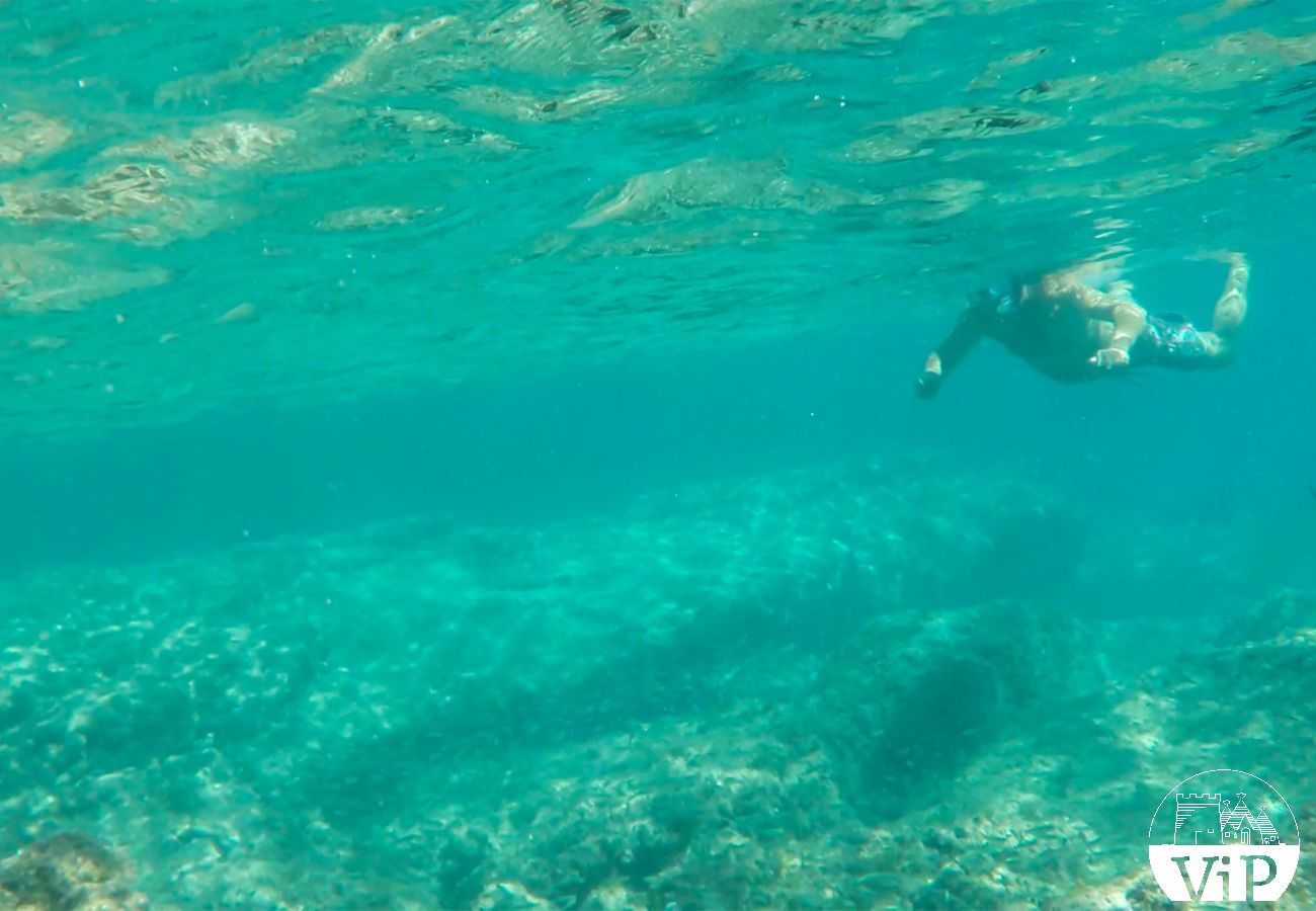 Villa à Vitigliano - Villa typique du Salento proche plages et côtes rocheuses, avec piscine privée m250