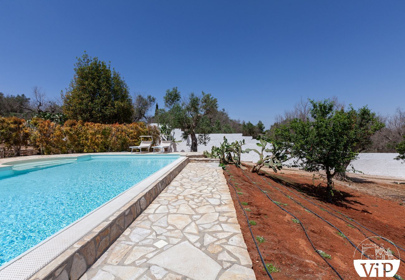 Villa à Collemeto - Villa avec piscine, 5 chambres, 3 salles de bains, barbecue, lave-linge, connexion WiFi, climatisation m565