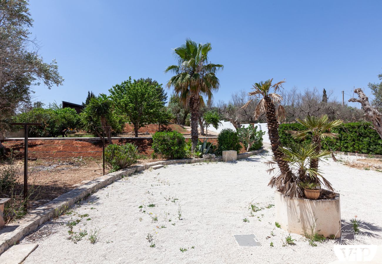 Villa à Collemeto - Villa avec piscine, 5 chambres, 3 salles de bains, barbecue, lave-linge, connexion WiFi, climatisation m565