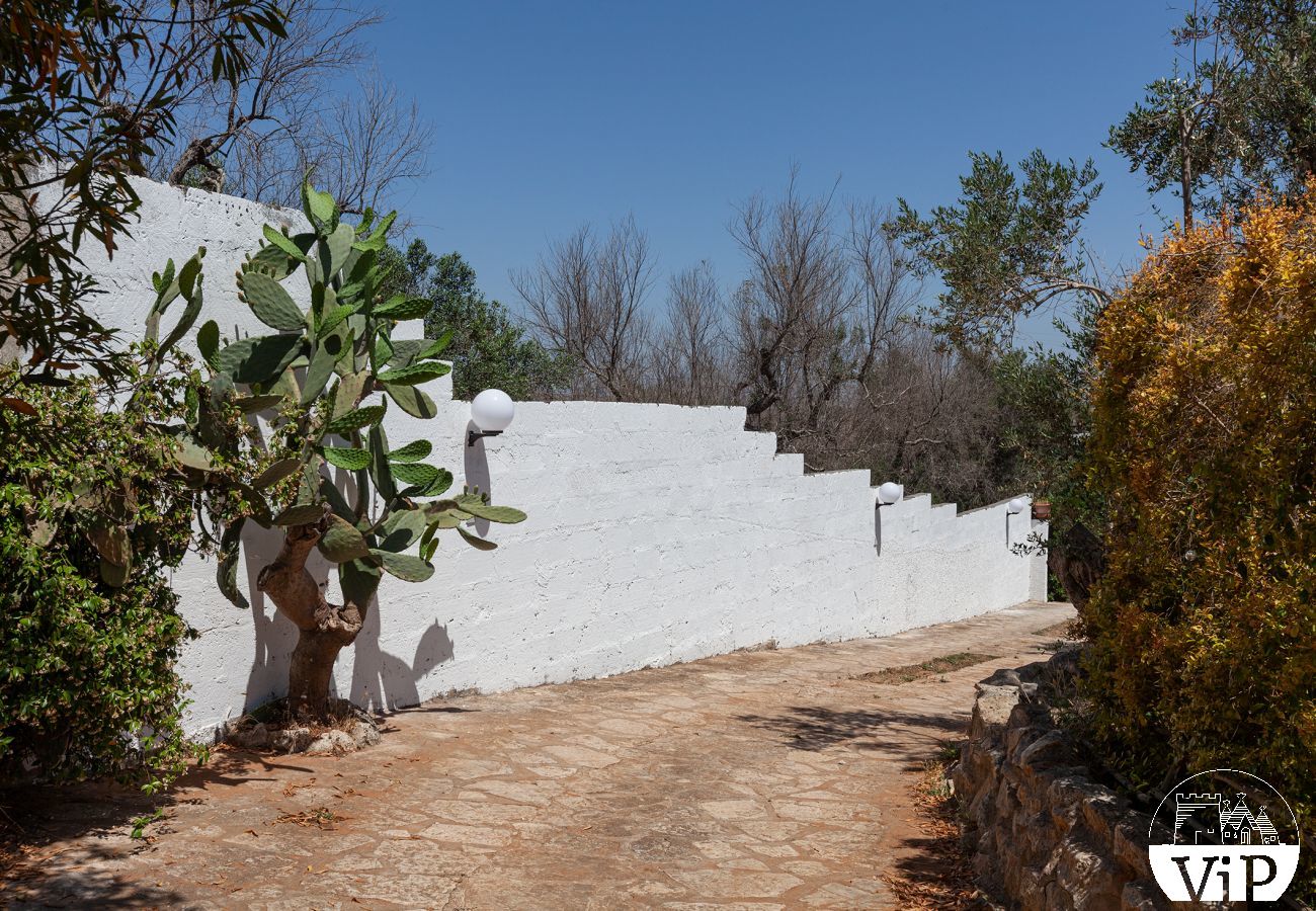 Villa à Collemeto - Villa avec piscine, 5 chambres, 3 salles de bains, barbecue, lave-linge, connexion WiFi, climatisation m565
