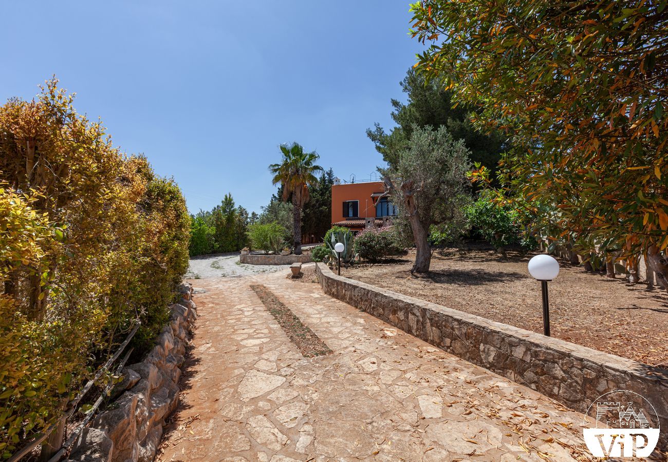 Villa à Collemeto - Villa avec piscine, 5 chambres, 3 salles de bains, barbecue, lave-linge, connexion WiFi, climatisation m565