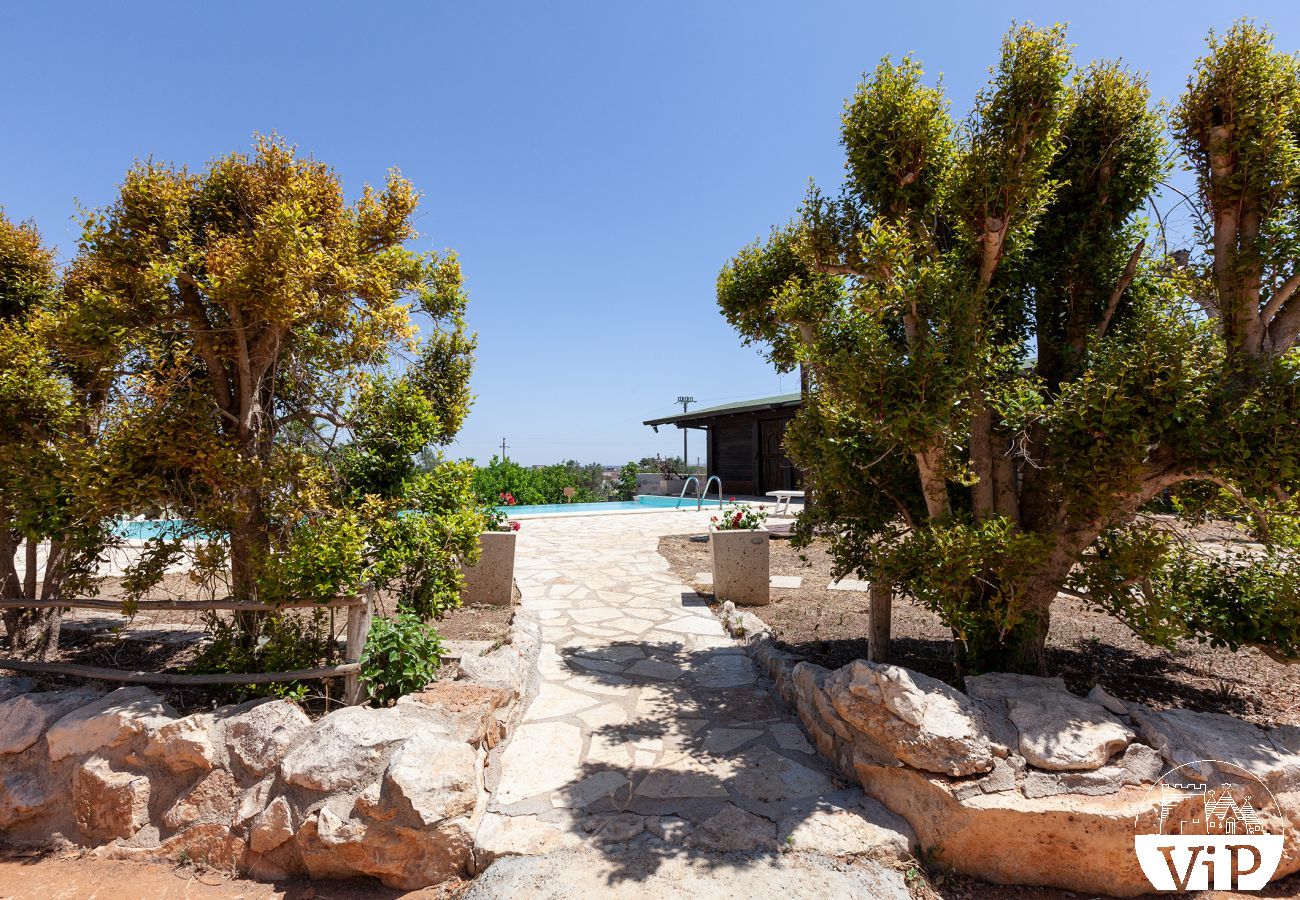 Villa à Collemeto - Villa avec piscine, 5 chambres, 3 salles de bains, barbecue, lave-linge, connexion WiFi, climatisation m565