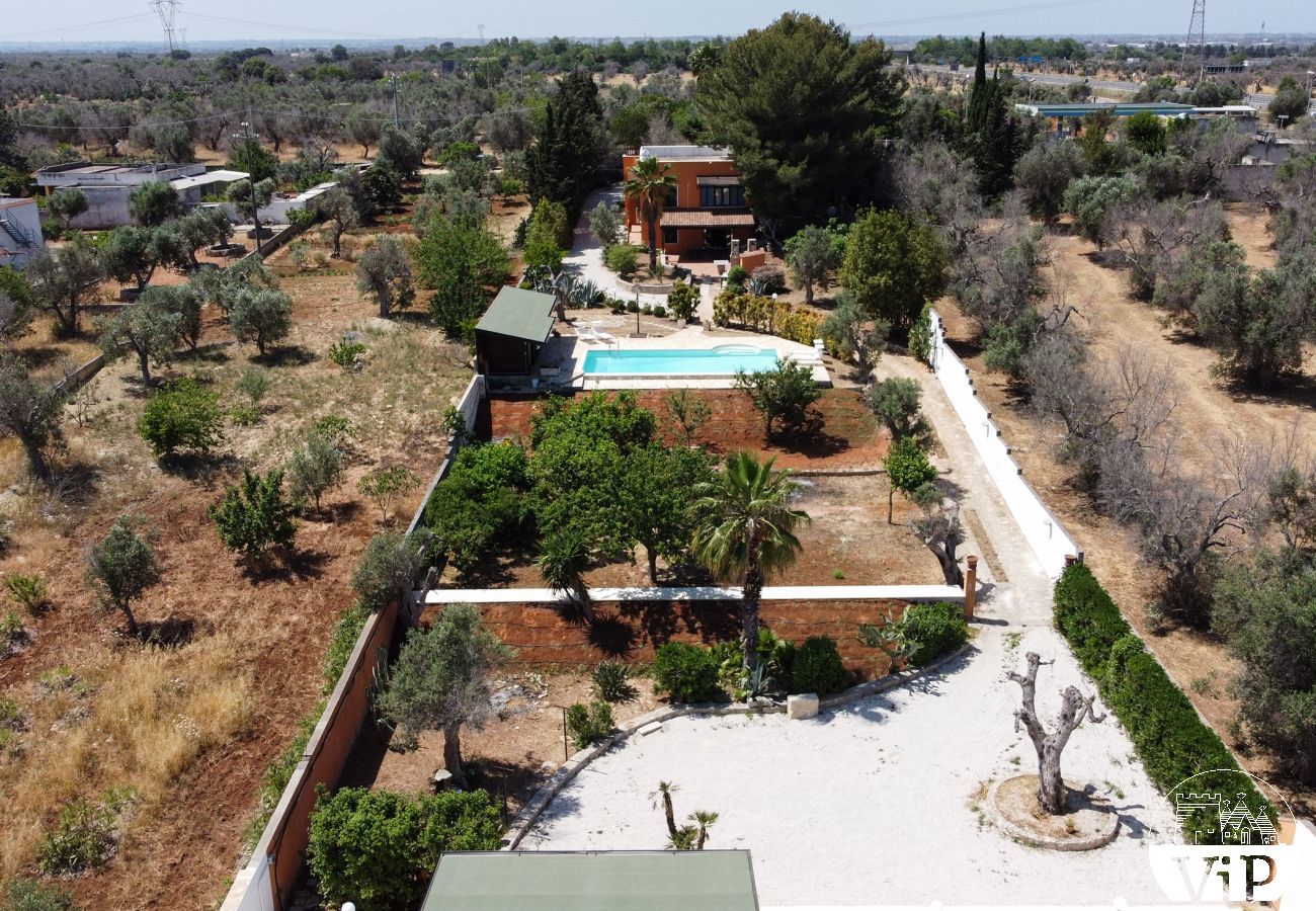 Villa à Collemeto - Villa avec piscine, 5 chambres, 3 salles de bains, barbecue, lave-linge, connexion WiFi, climatisation m565