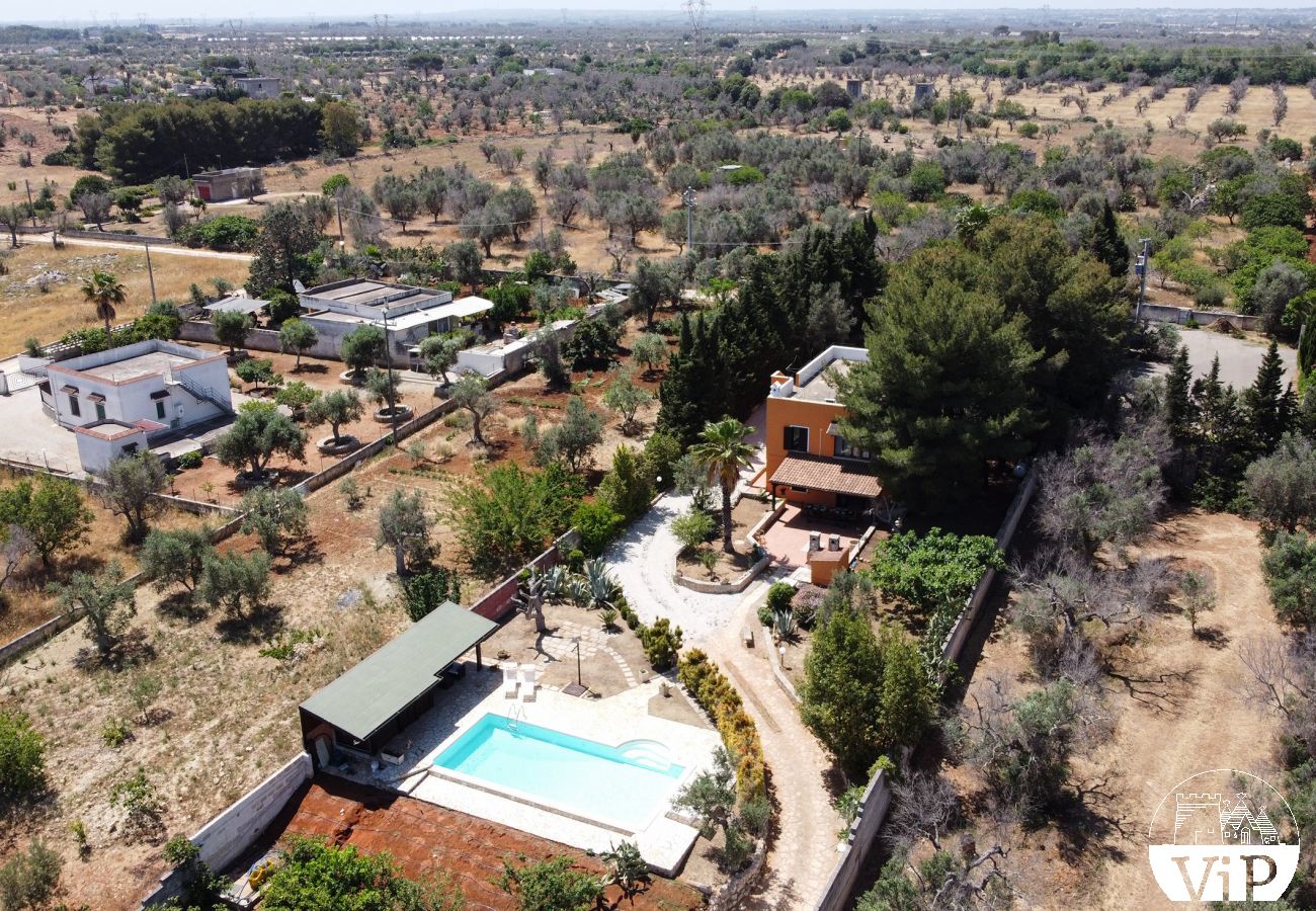 Villa à Collemeto - Villa avec piscine, 5 chambres, 3 salles de bains, barbecue, lave-linge, connexion WiFi, climatisation m565