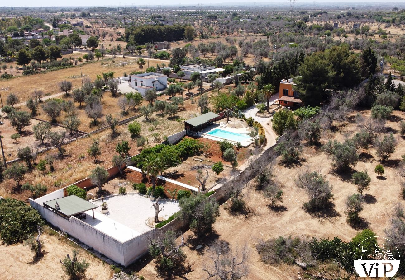 Villa à Collemeto - Villa avec piscine, 5 chambres, 3 salles de bains, barbecue, lave-linge, connexion WiFi, climatisation m565