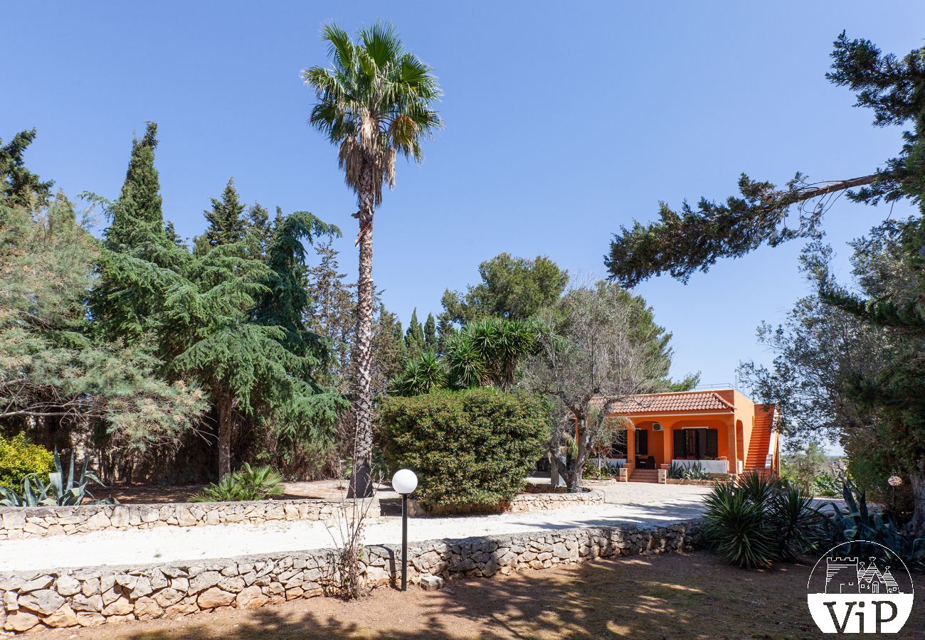 Villa à Collemeto - Villa avec piscine, 5 chambres, 3 salles de bains, barbecue, lave-linge, connexion WiFi, climatisation m565