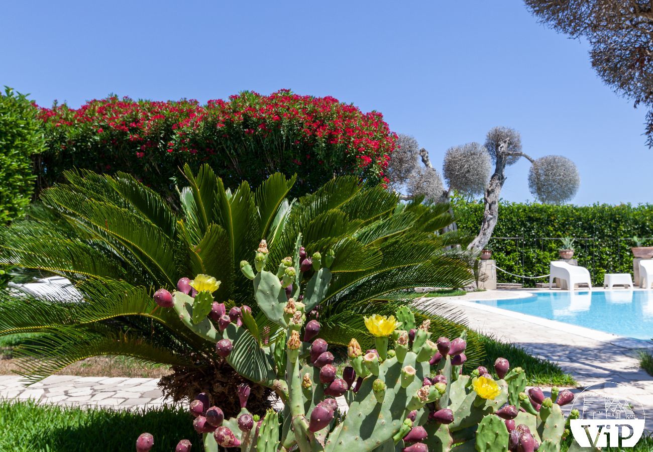 Villa à San Foca - Villa avec piscine dans la campagne, près de la mer San Foca m180