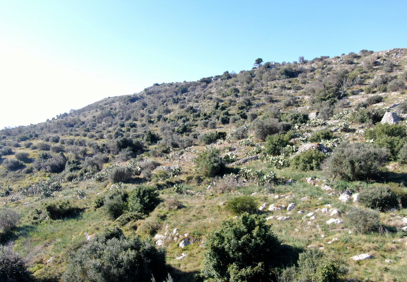 villa à Andrano - Propriété vue sur la mer 3 pajare à restructurer v123