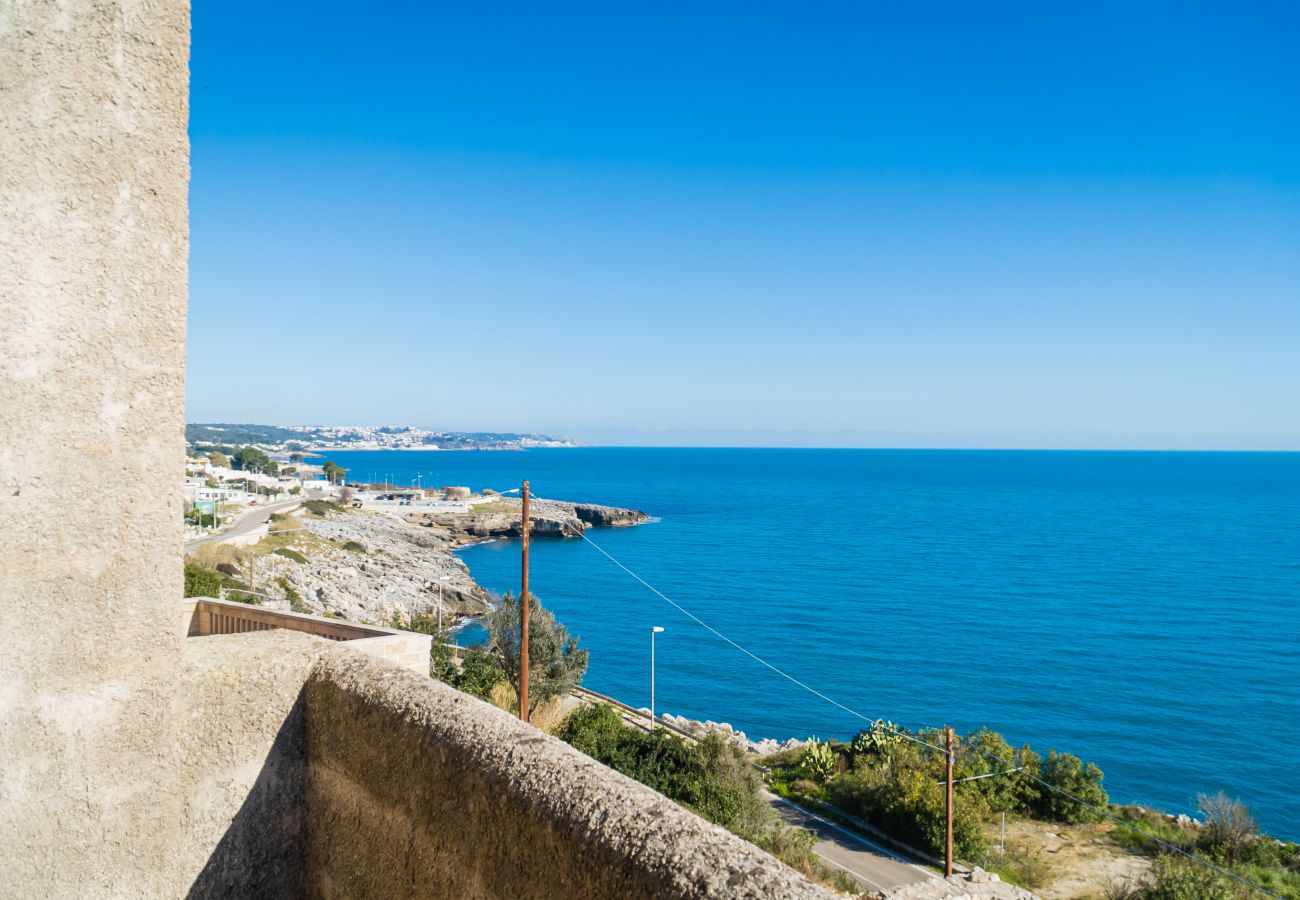 villa à Andrano - Propriété vue sur la mer 3 pajare à restructurer v123