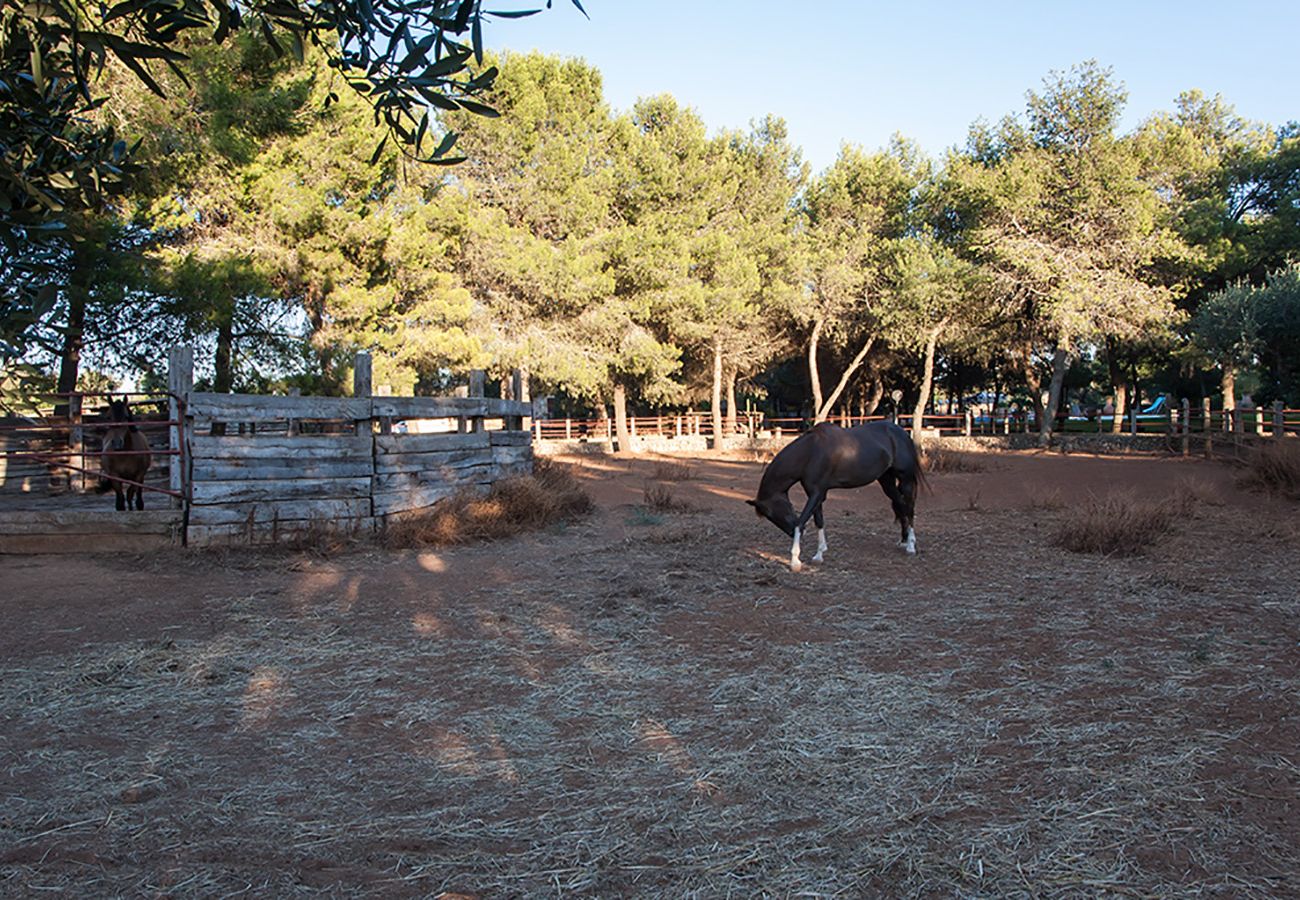 villa à Tuglie - Villa avec piscine privée et manège près de Gallipoli v140