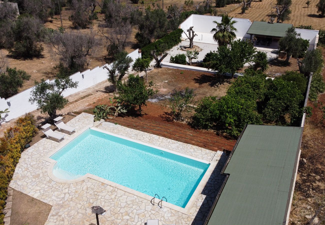 villa à Collemeto - A vendre Villa piscine station de recharge pour voiture électrique v565