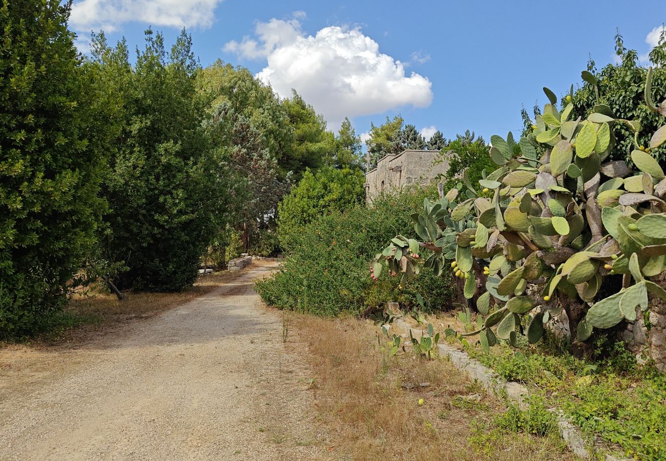Ferme à Alessano - Ferme à rénover près de la mer - v790 Macurano