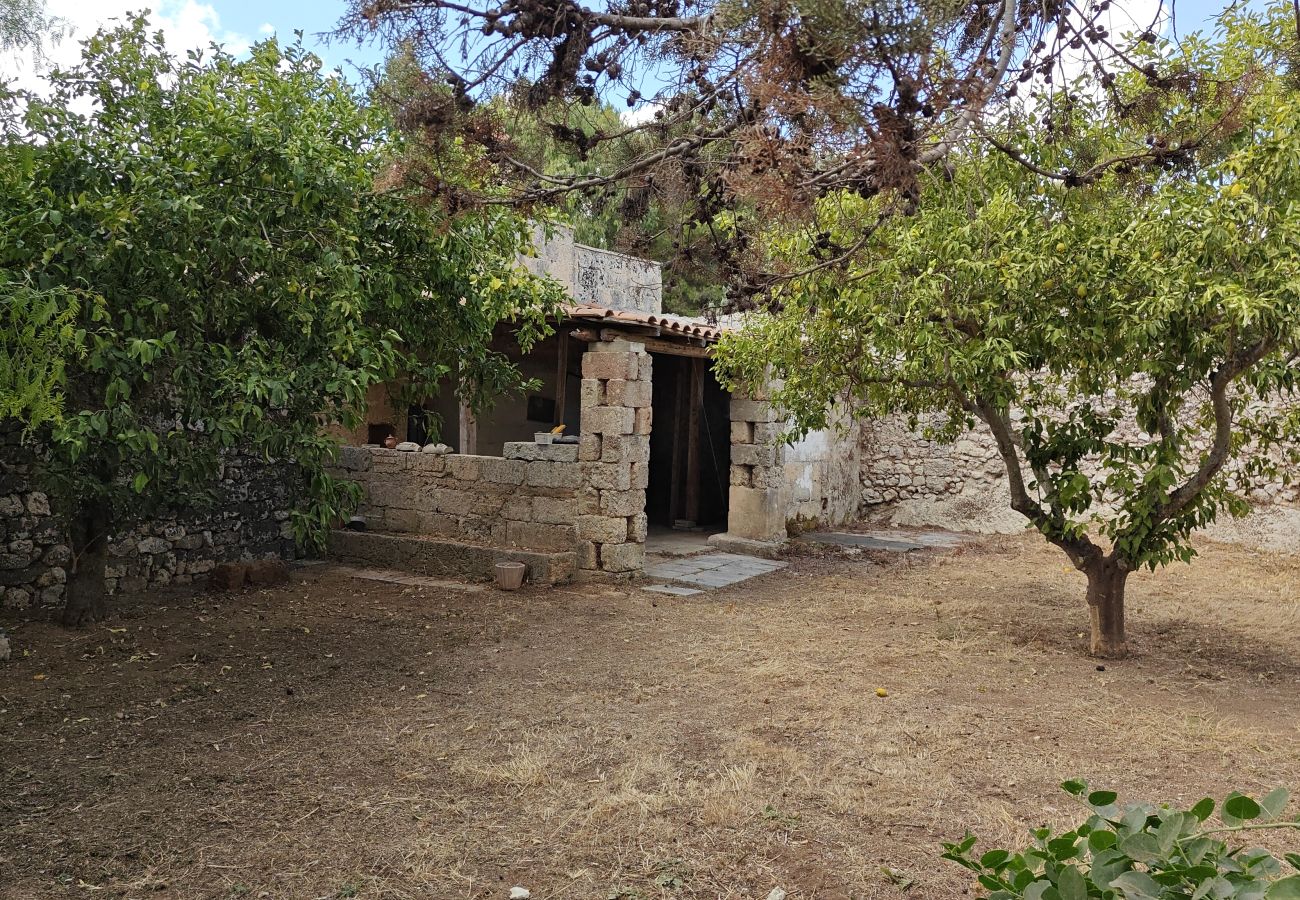 Ferme à Alessano - Ferme à rénover près de la mer - v790 Macurano