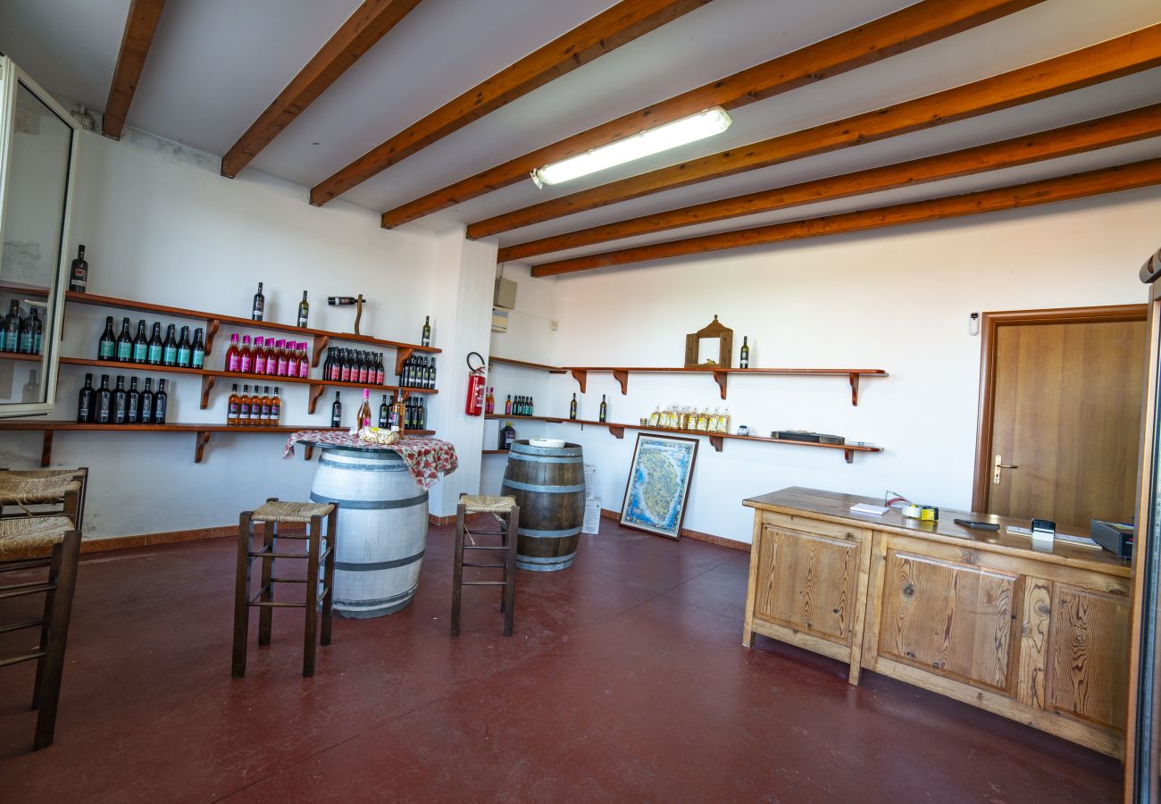 Ferme à Copertino - Tenuta Annibale – Cave du Salento. v810