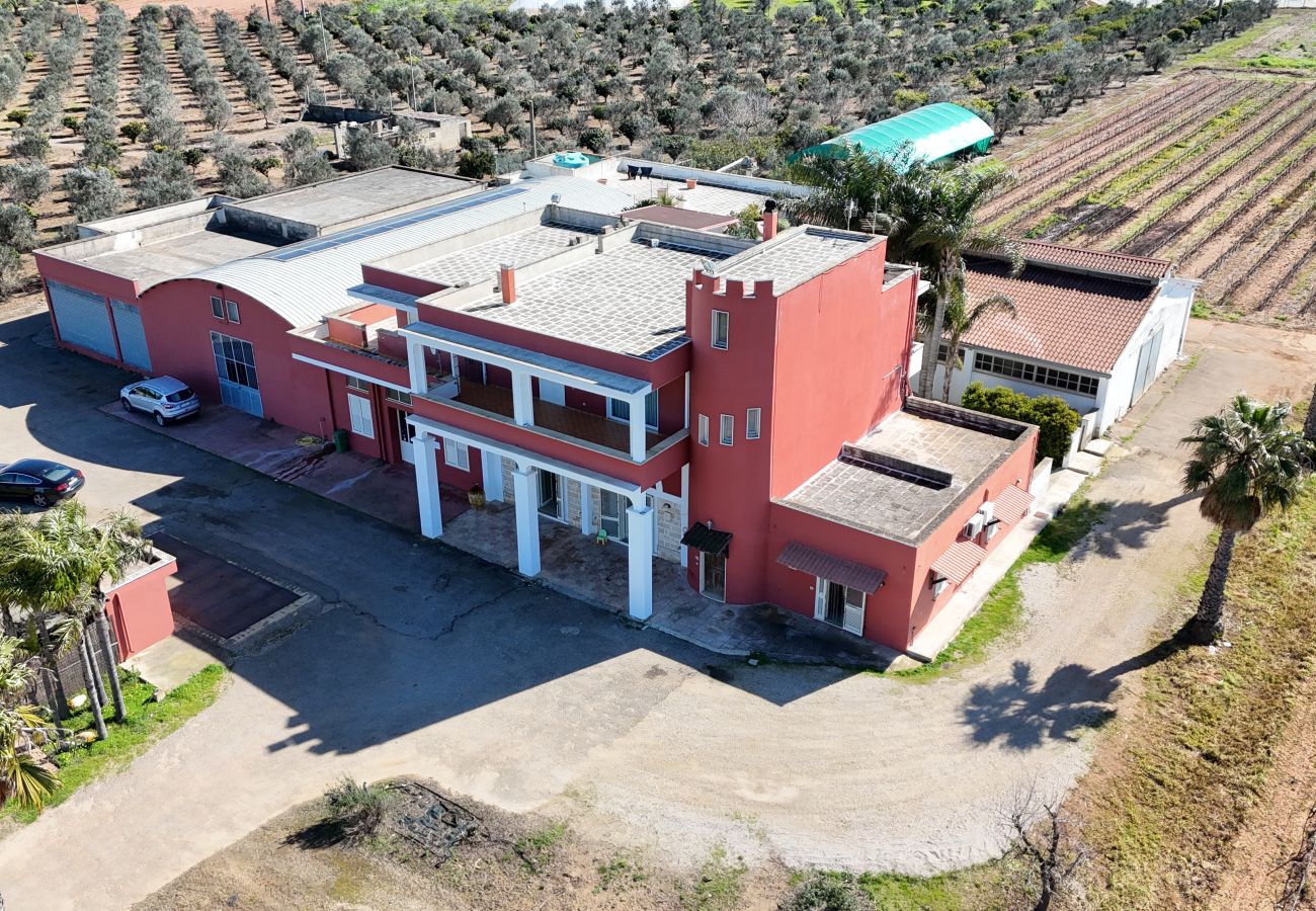 Ferme à Copertino - Tenuta Annibale – Cave du Salento. v810