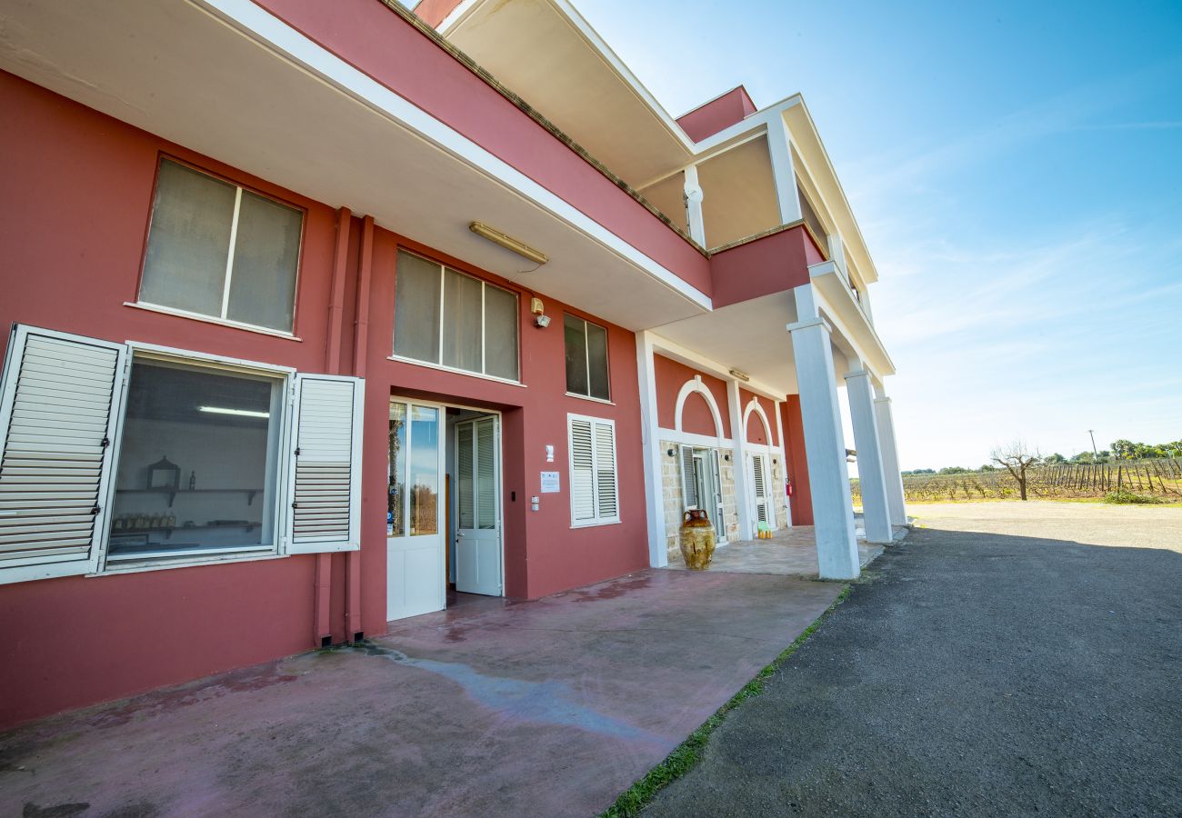 Ferme à Copertino - Tenuta Annibale – Cave du Salento. v810