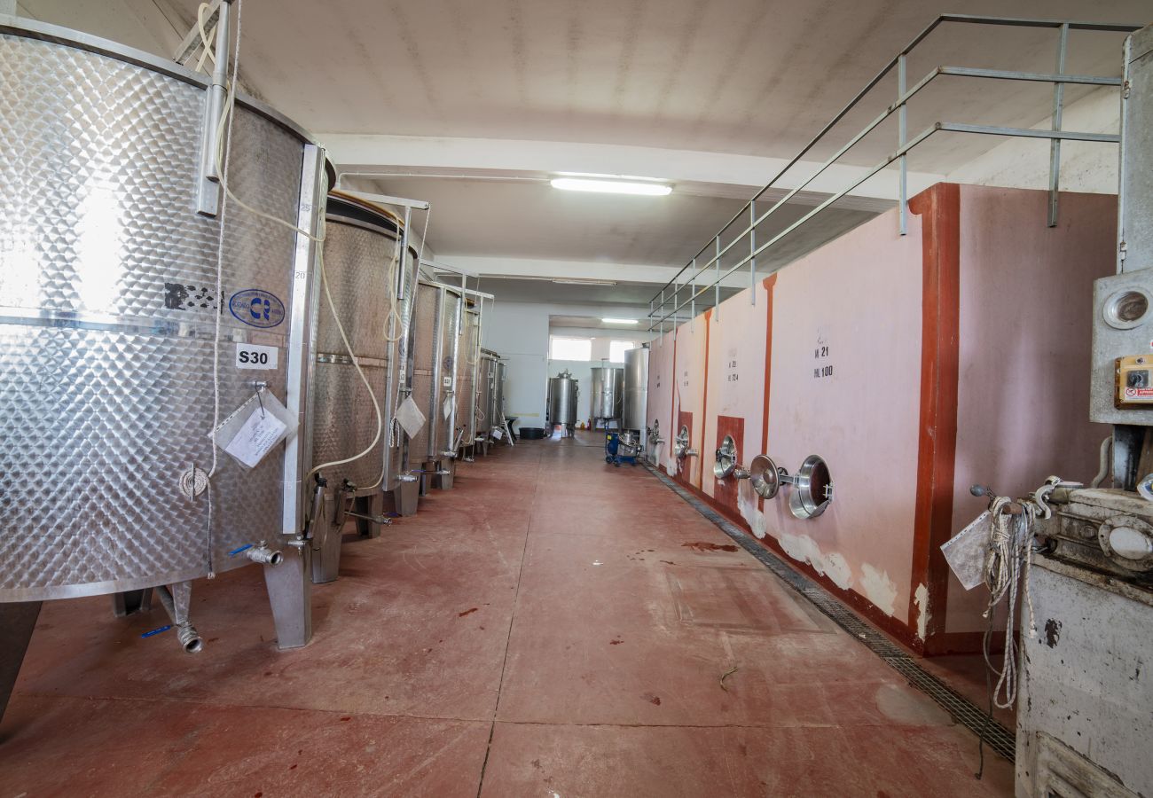 Ferme à Copertino - Tenuta Annibale – Cave du Salento. v810