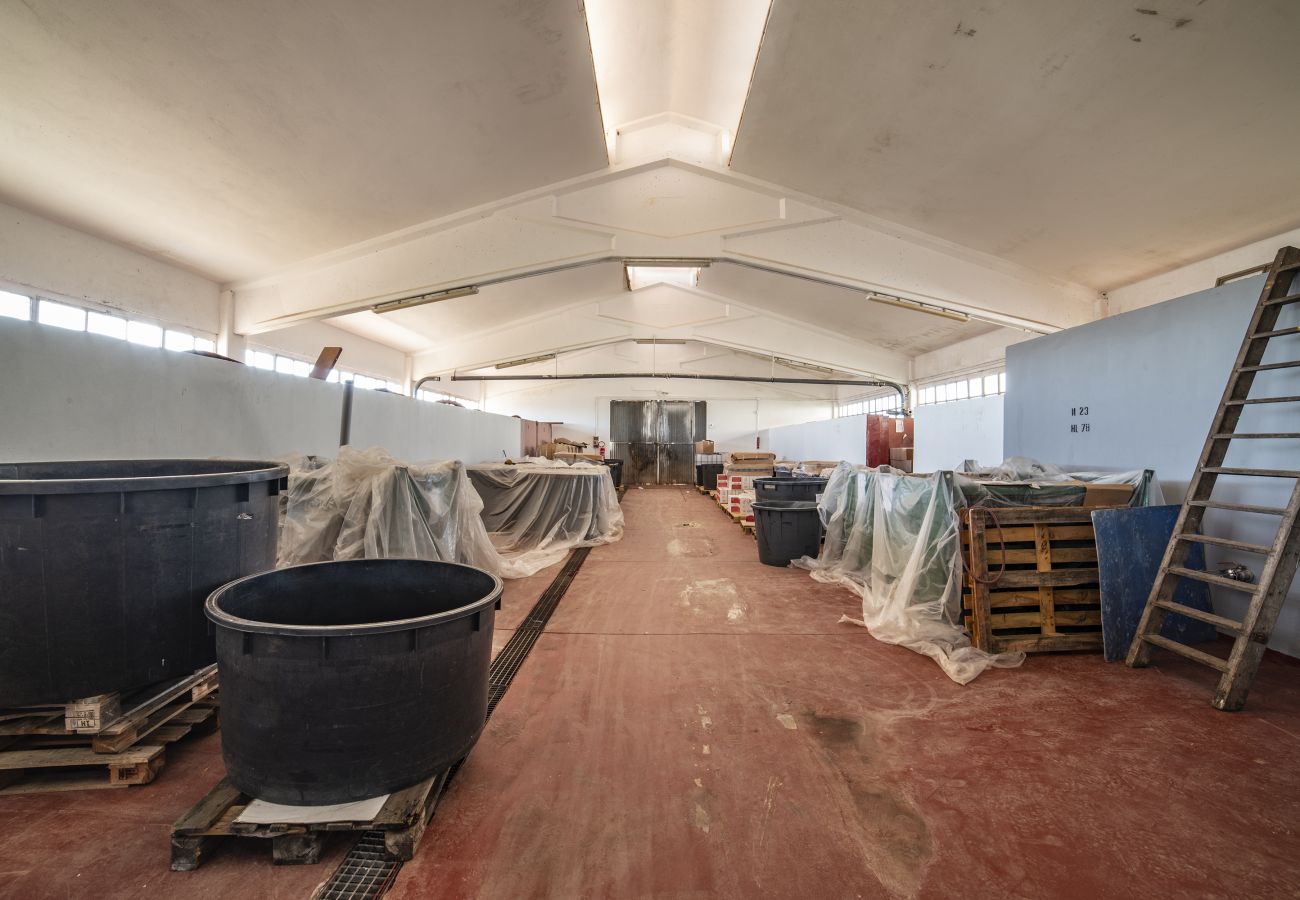 Ferme à Copertino - Tenuta Annibale – Cave du Salento. v810