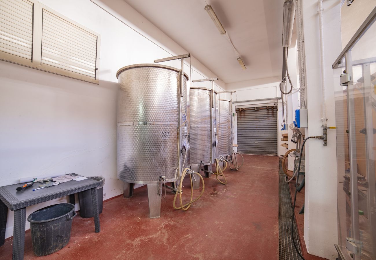 Ferme à Copertino - Tenuta Annibale – Cave du Salento. v810