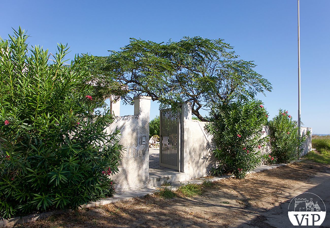 Casa a Spiaggiabella - Villa sulla spiaggia, vista mare Spiggiabella, 3 camere 2 bagni m711