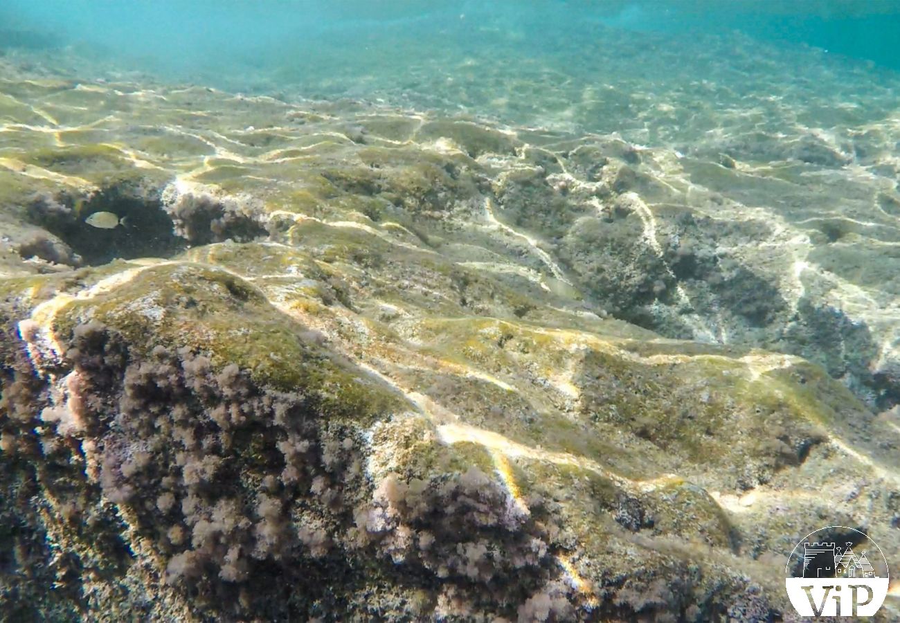 Appartamento a Carpignano Salentino - Appartamento uso piscina e campo calcetto per soggiorni in Puglia m401