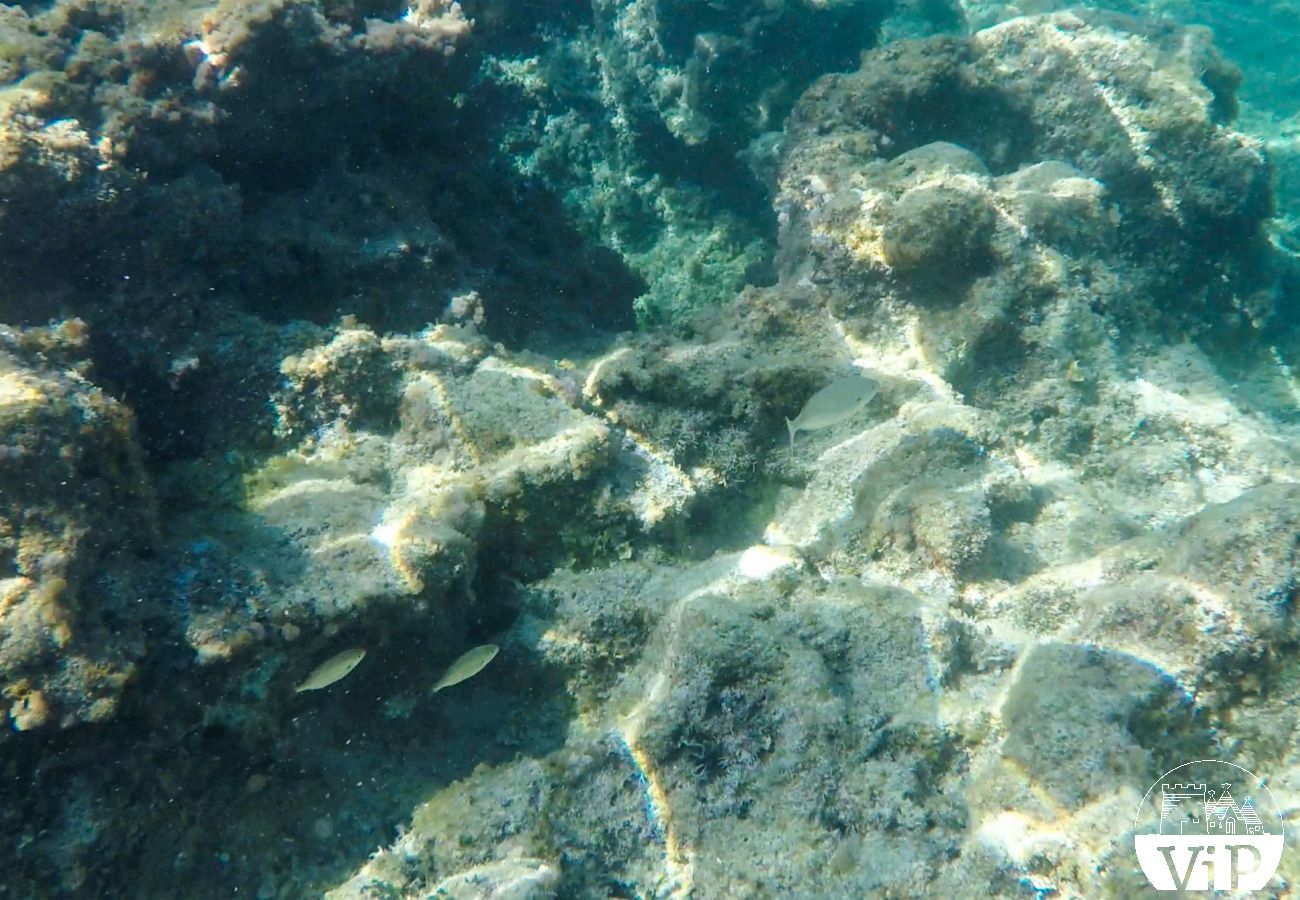 Appartamento a Carpignano Salentino - Appartamento adatto ai disabili con piscina condivisa per vacanze pugliesi m402