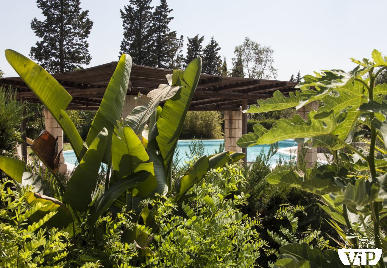 Villa a Specchia - Villa con grande piscina e idromassaggio per gruppo numeroso m350